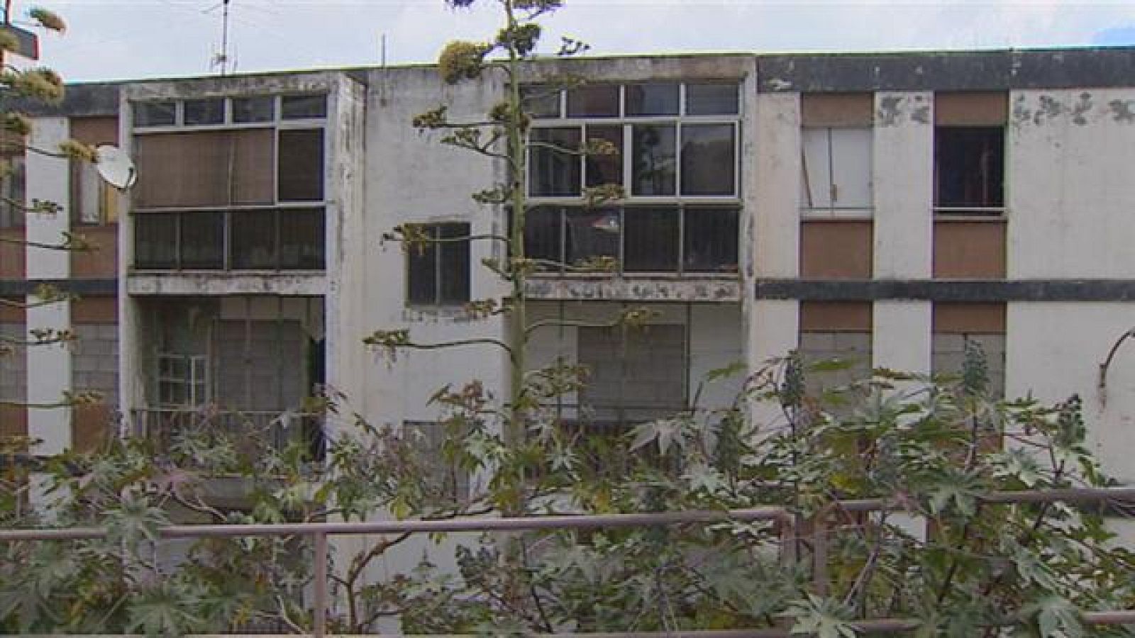 Telecanarias - 04/11/2015