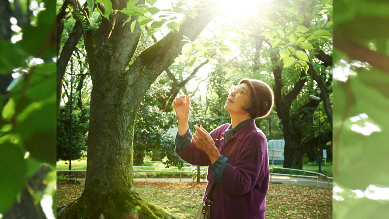 Tráiler de 'Una pastelería en Tokio' | Ver