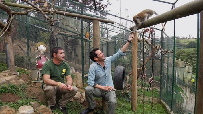 Aquí la Tierra - Una vida nueva