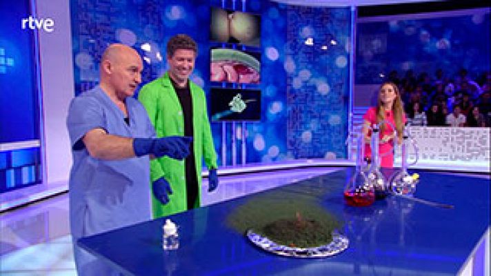  - Demostramos los efectos del alcohol en nuestro cuerpo