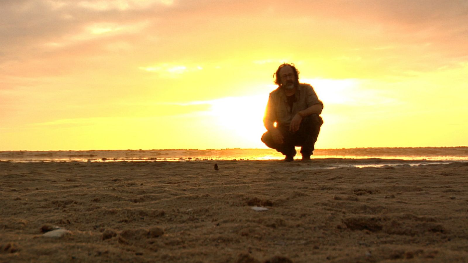 Luismi, sigiloso cual ave limícola