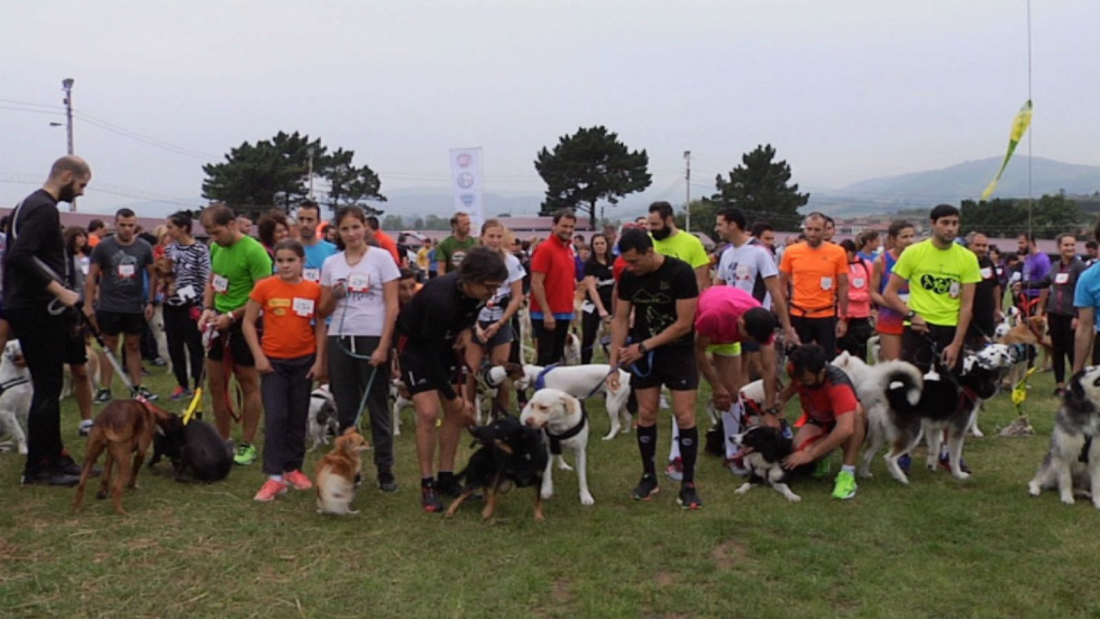 Canicross, por una buena causa