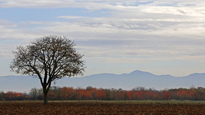 El tiempo - Ascenso de las temperaturas diurnas en la mayor parte de la península