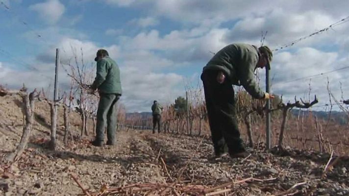 Fábrica de ideas - Fábrica de ideas - 07/11/15