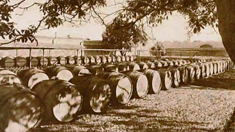 Fábrica de ideas - Imita: Bodegas Torres