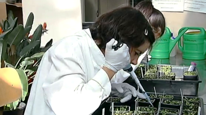 Fábrica de ideas - Innova: CNB