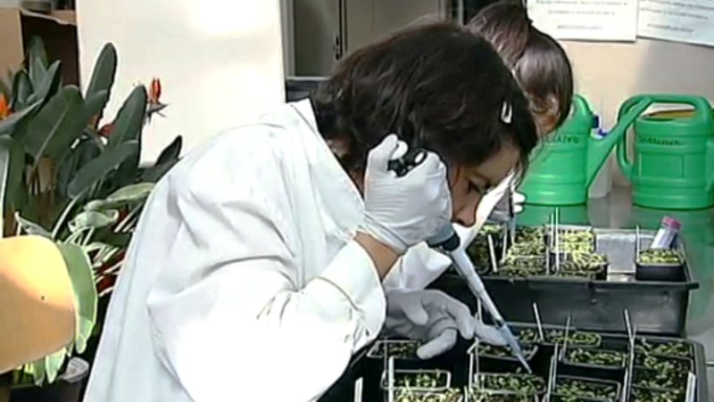 Fábrica de ideas - Innova: CNB