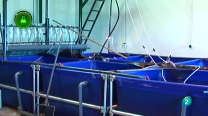 Agrosfera - Agrosfera - Laboratorio de Ideas - La Tenca