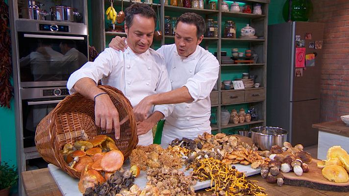 Torres en la cocina - Hoy, las mejores recetas de tierra