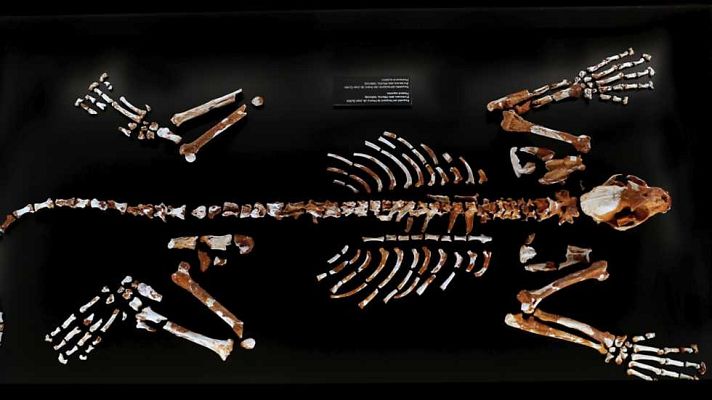 L'informatiu - Comunitat Valenciana - La Comunidad Valenciana en 2' - 11/11/15