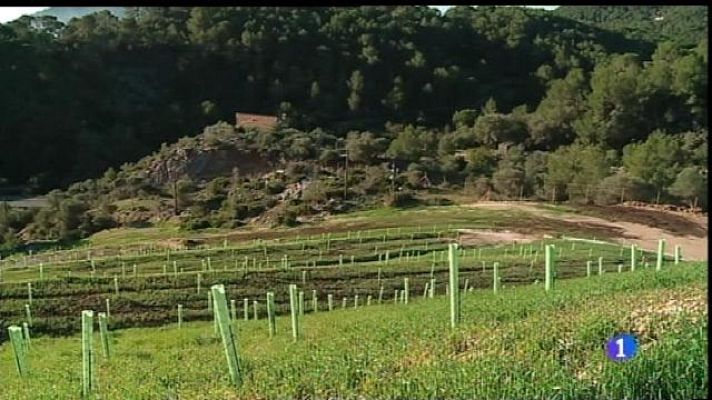 Informatiu Balear - D'abocador a muntanya