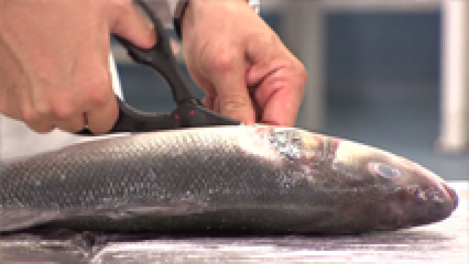 MasterChef Junior 3 - Clase de Pescado