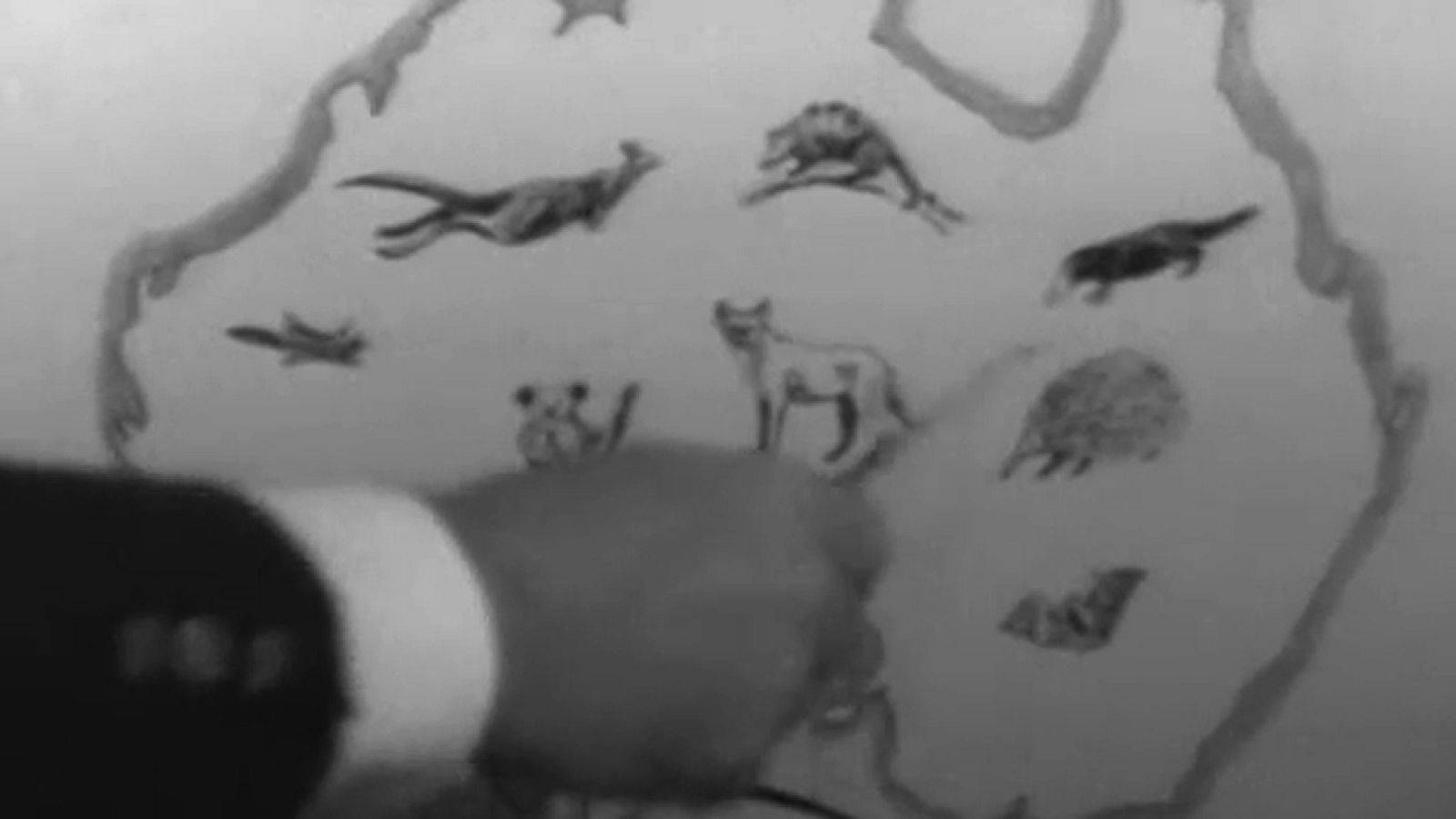 Vida salvaje - El corazón rojo de Australia