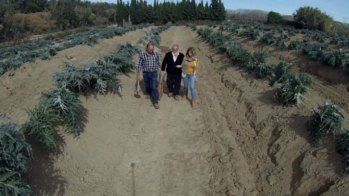 Aquí la Tierra - Cardos enterrados ¿para qué?
