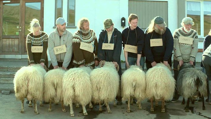 Días de cine - 'Rams (El valle de los carneros)'