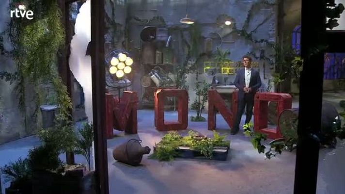 Yo, mono - La amistad - avance