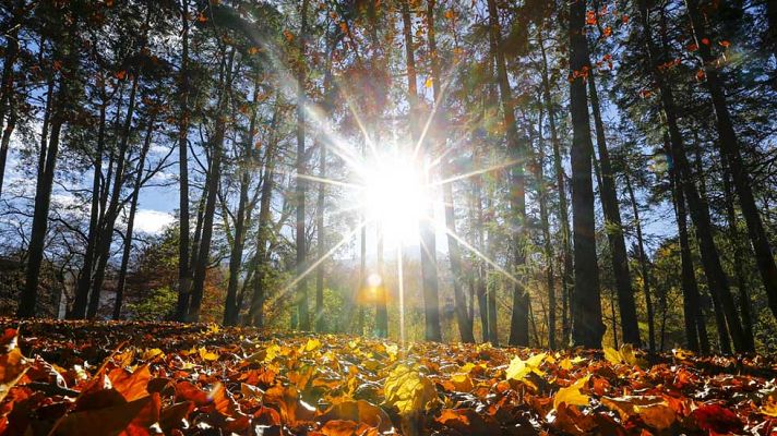 Informativo de Madrid - El Tiempo en la Comunidad de Madrid - 13/11/15