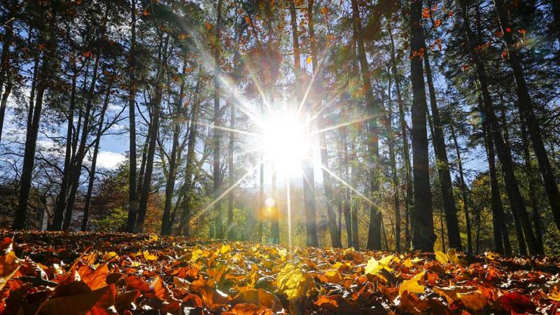 El Tiempo en la Comunidad de Madrid - 13/11/15