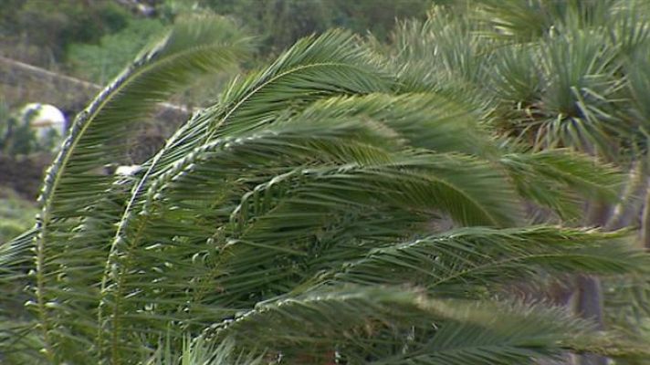 Telecanarias - Canarias en 2' - 13/11/2015