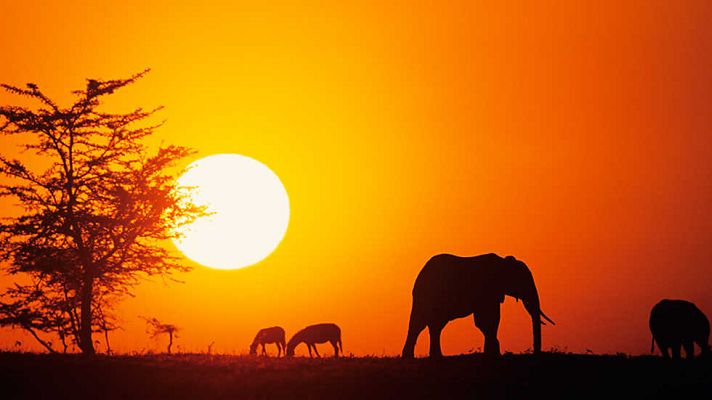 Grandes documentales - Trotamundos: Las 10 aventuras más increíbles de África