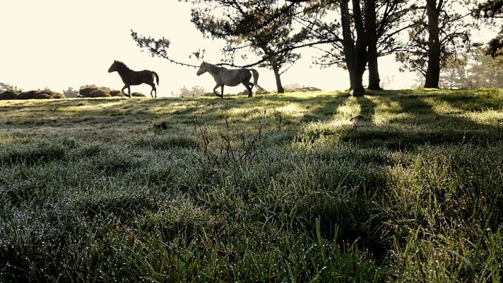 El tiempo - Nubes bajas en el extremo sudeste peninsular y Baleares
