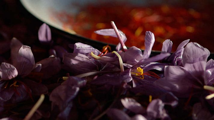 La noche temática - El imperio del olfato