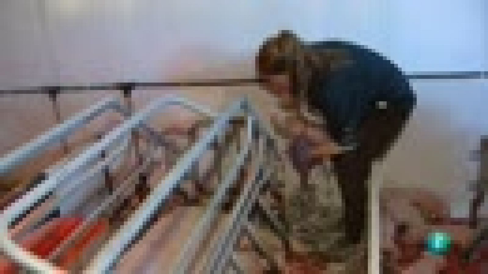 Agrosfera - En primer plano - Granja vereda