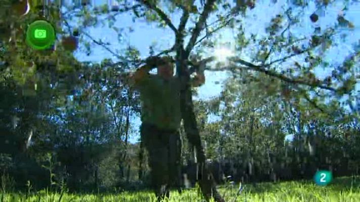 Agrosfera - La comarca de la sidra