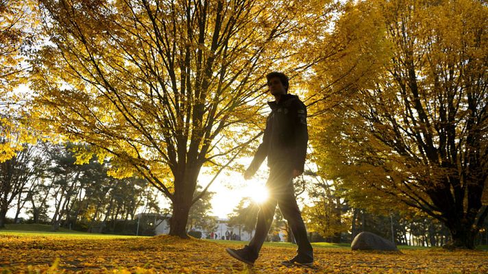 El tiempo - Temperaturas en aumento en la mitad norte y cielos poco nubosos