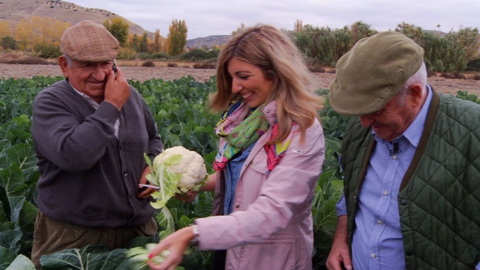 El esplendor  de las crucíferas