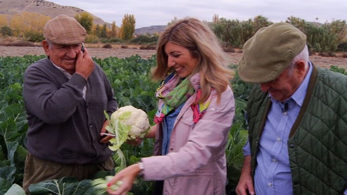 Aquí la Tierra - El esplendor  de las crucíferas