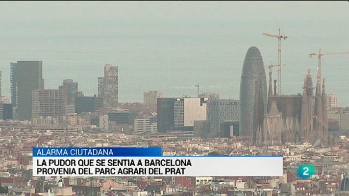 L'Informatiu - Vespre a La 2 - Informatiu - 18/11/2015