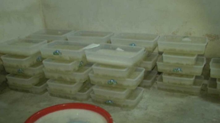 Telediario 1 - Los investigadores sospechan que los terroristas podían haber utilizado Captagón, llamada la droga de los Yihadistas