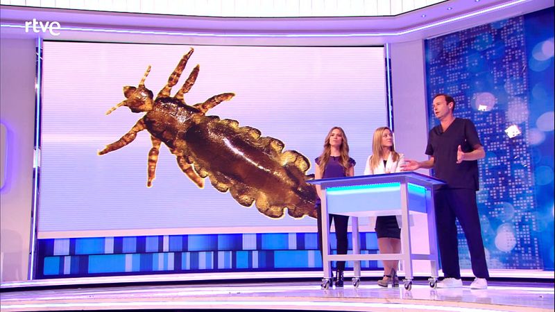 �Socorro!, mi hijo tiene piojos, otra vez