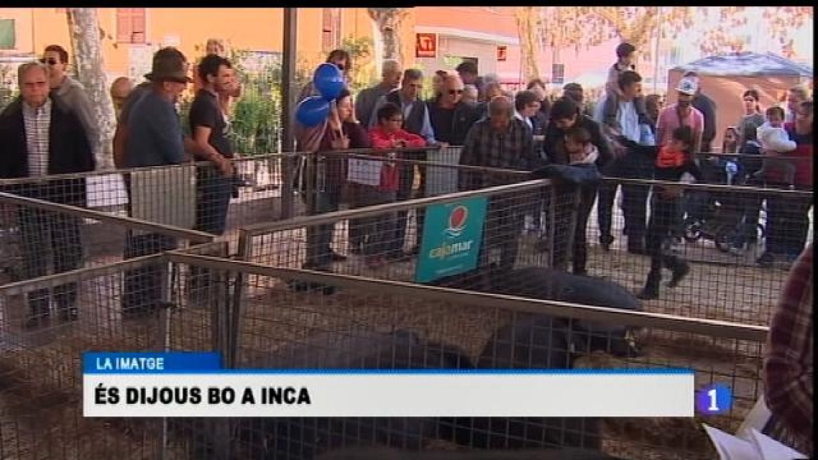 Informatiu Balear 2 - 19/11/15