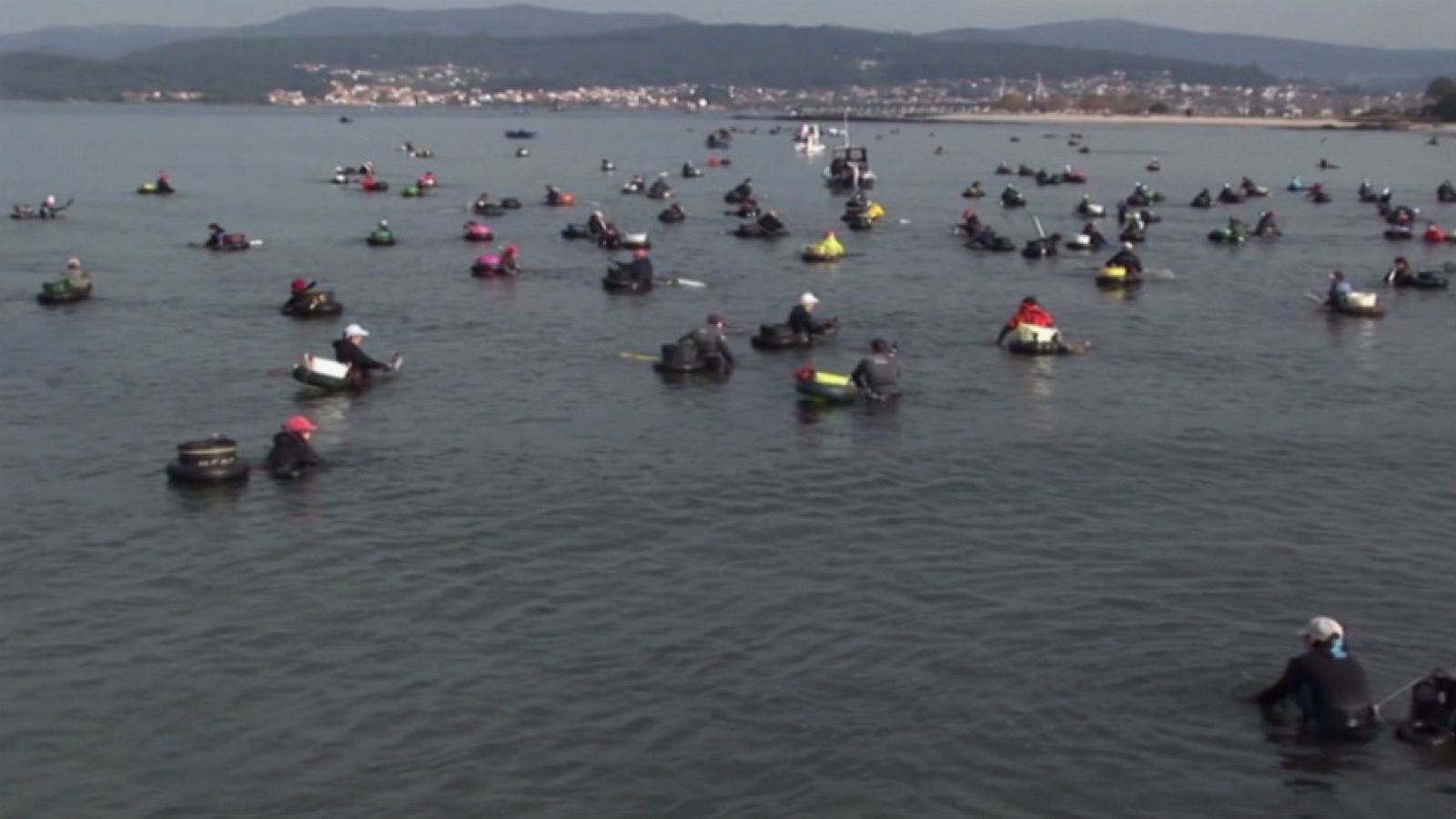 Aqui La Tierra - 48 toneladas de berberechos