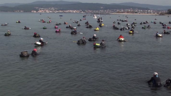 Aquí la Tierra - 48 toneladas de berberechos