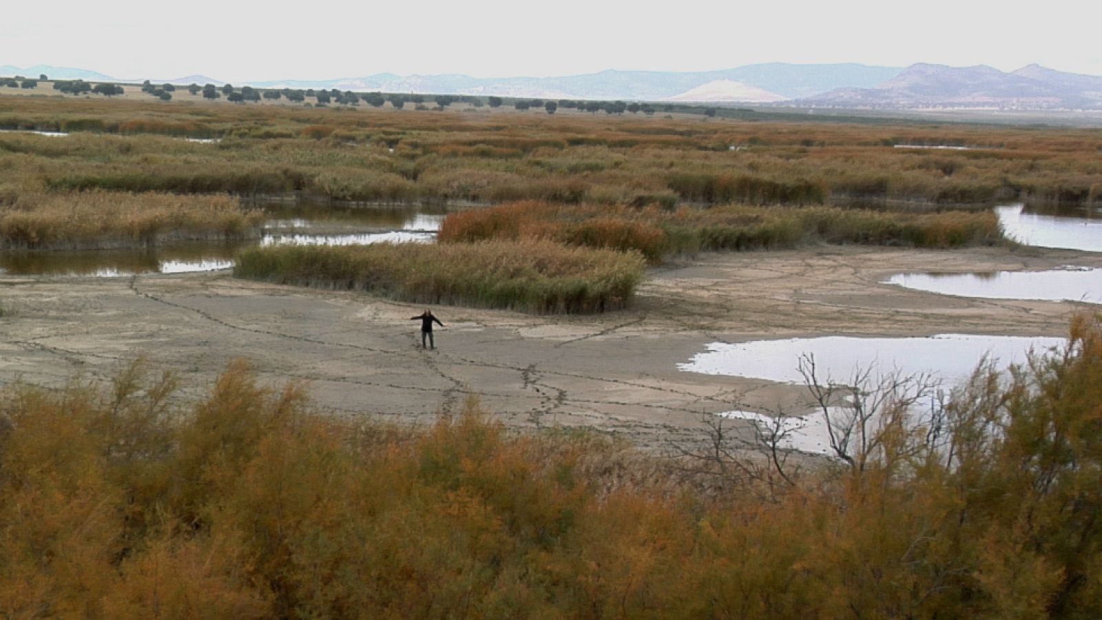 El camino de la vida