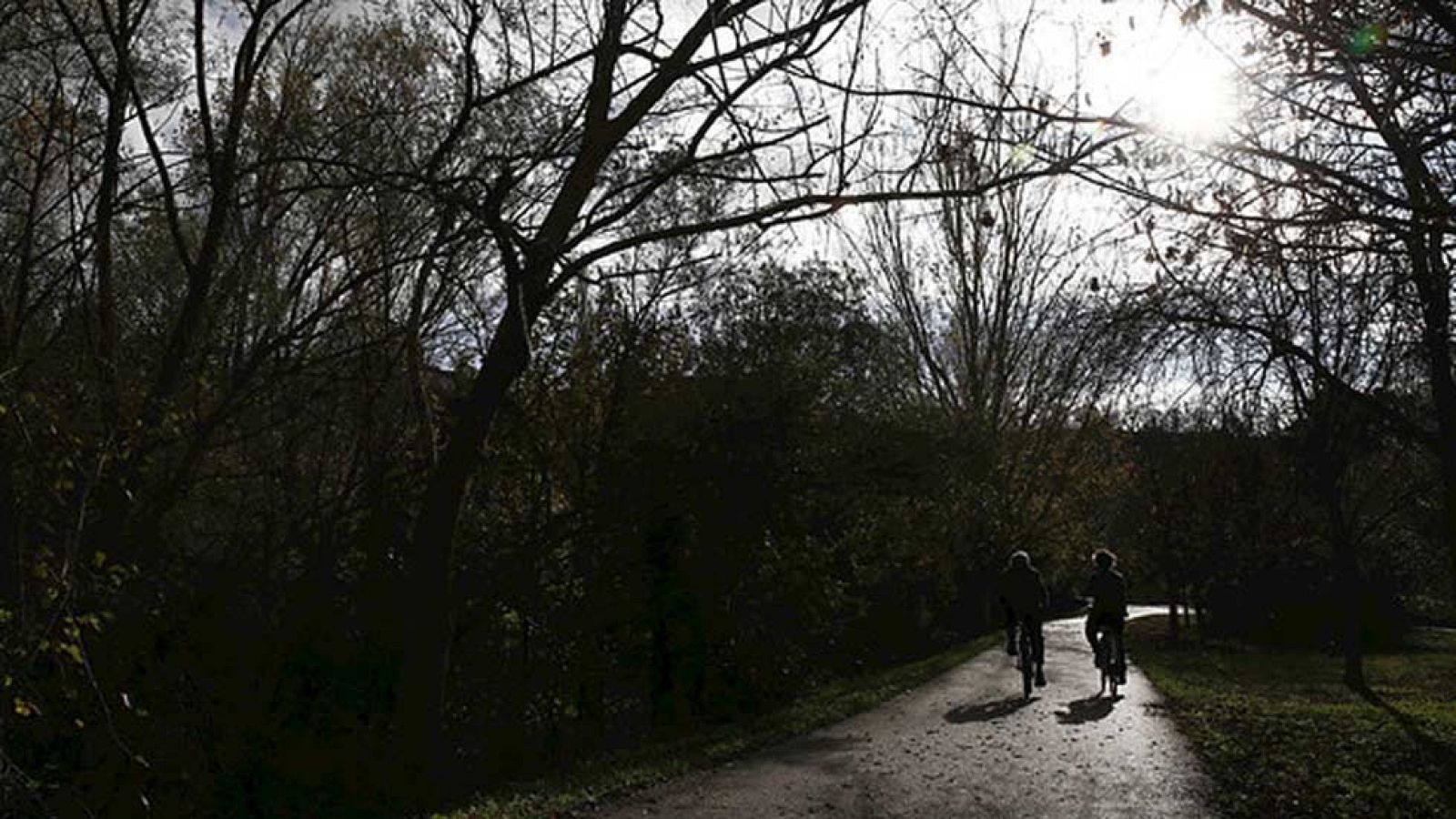 Lluvia, descenso de las temperaturas y viento fuerte