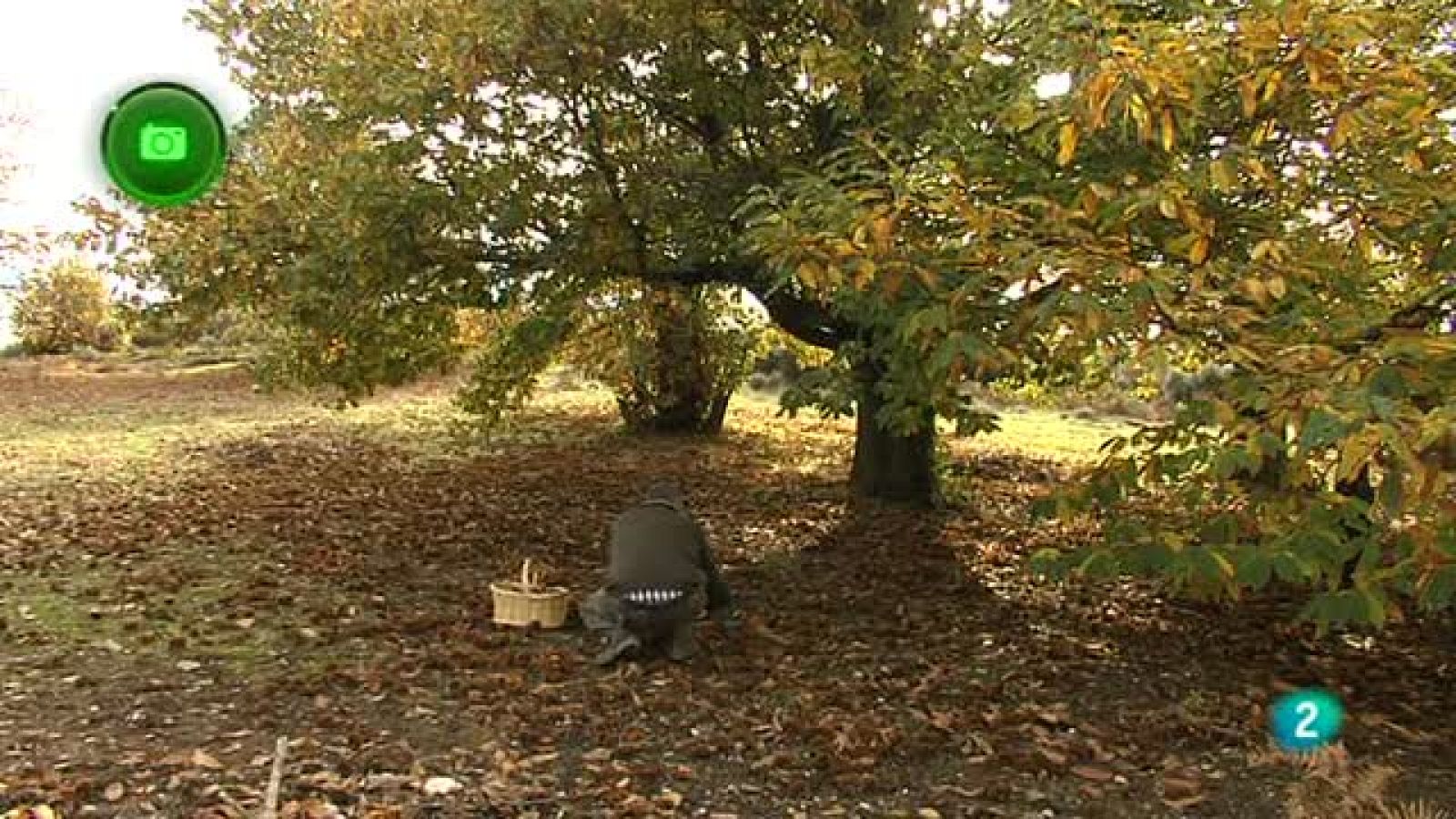 Agrosfera - En clave rural - Corullón (El Bierzo, León)
