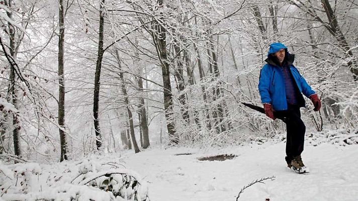 España en 24h - España en 24 horas - 23/11/15