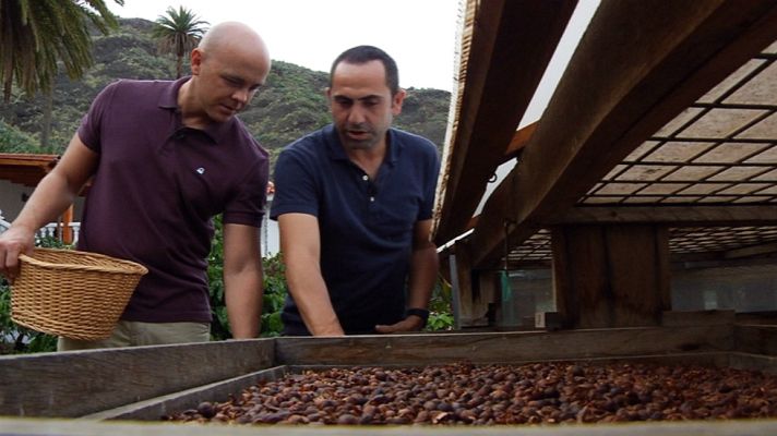 Aquí la Tierra - Café canario, el único en Europa