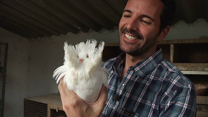 Aquí la Tierra - Palomas de fantasía