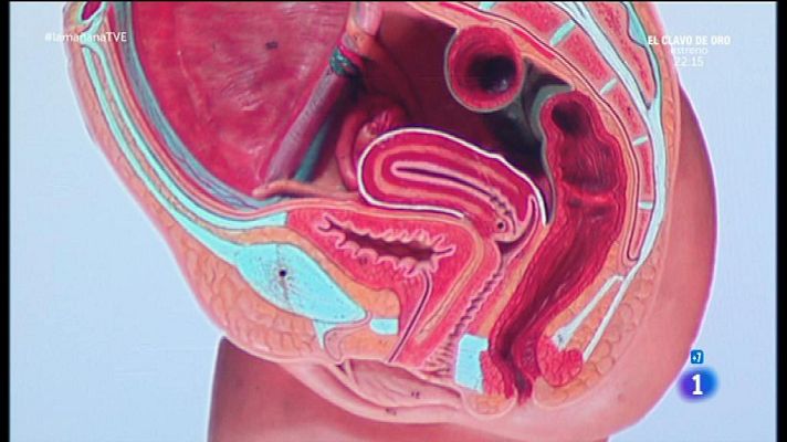 La mañana - Incontinencias urinarias