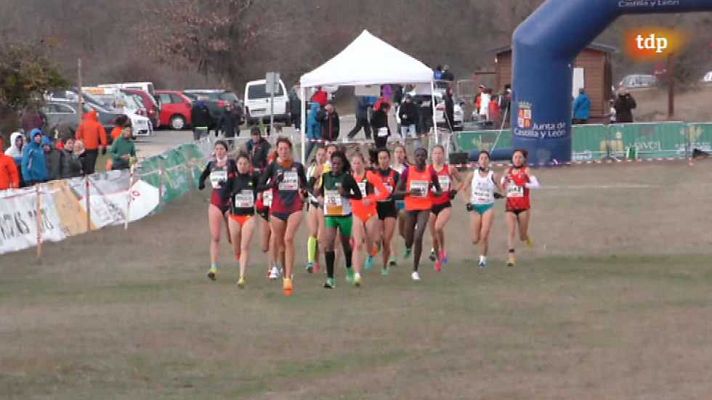 Cross - Campo a través Internacional de Soria