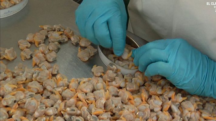 Aquí la Tierra - Conservas con mucho arte