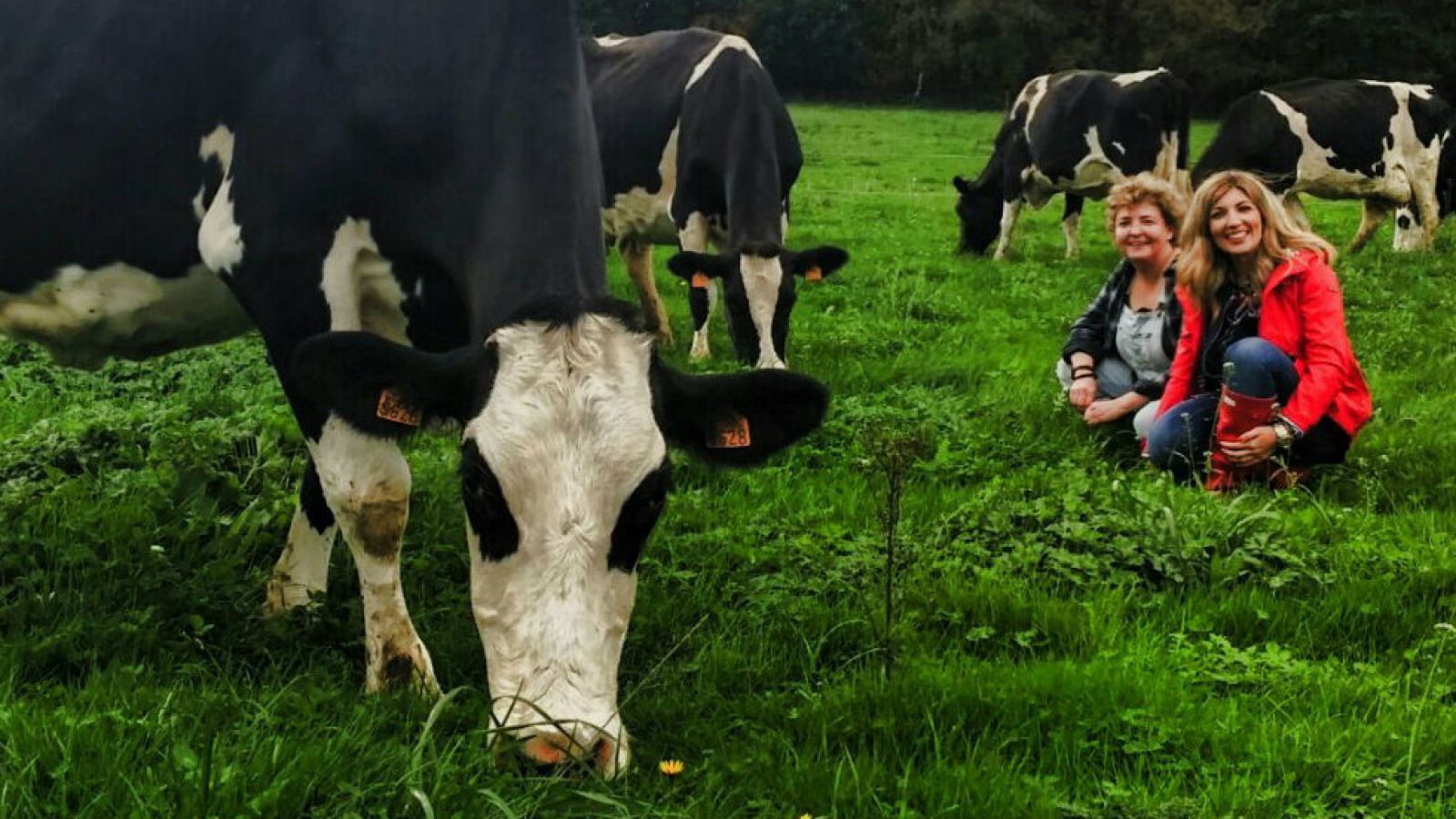 Una empresaria ¡de la leche!