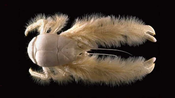 Saber y ganar - Saber y ganar - 25/11/15