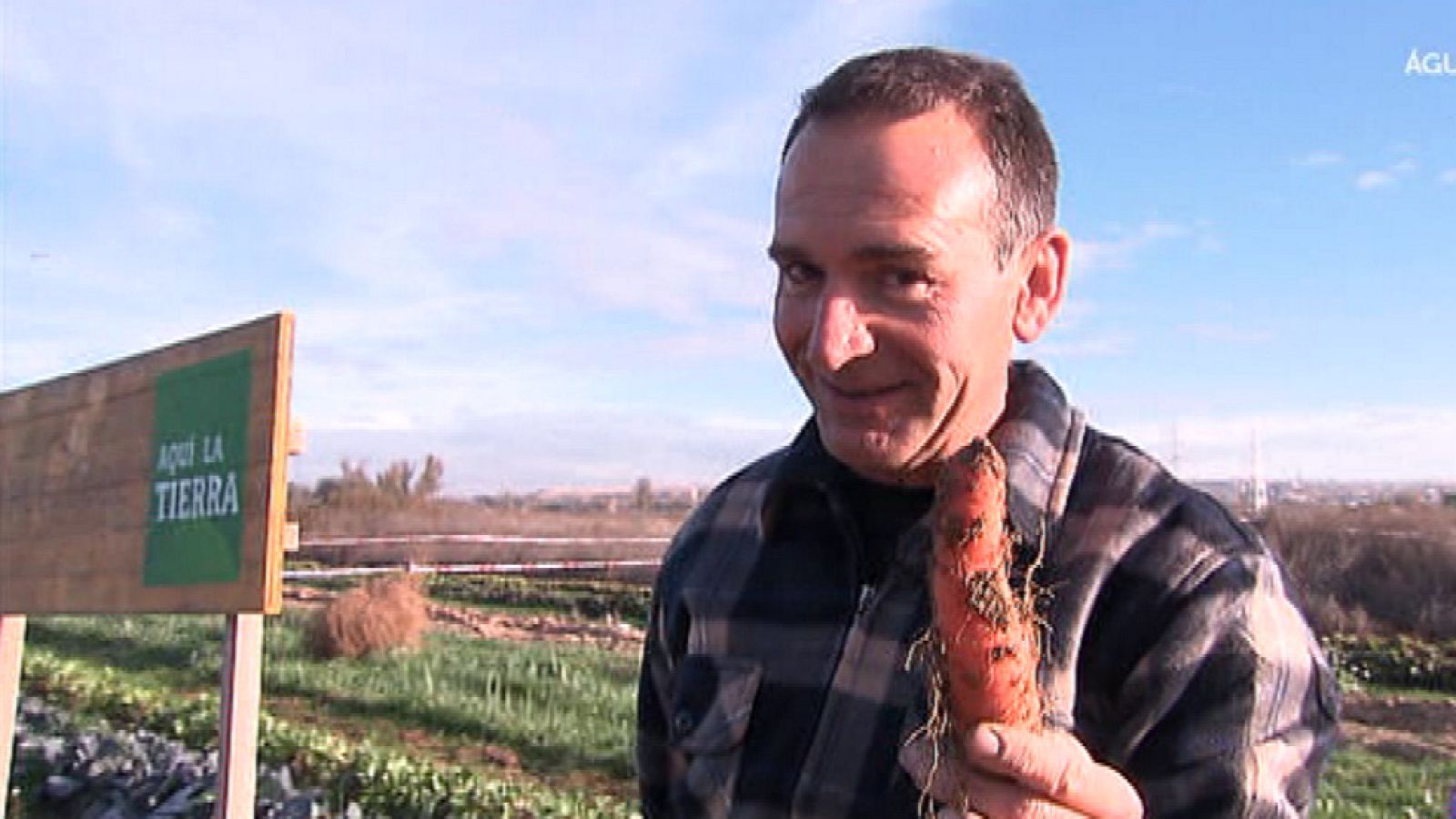 Temporada de zanahorias