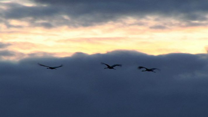 Aquí la Tierra - Partiendo el viento